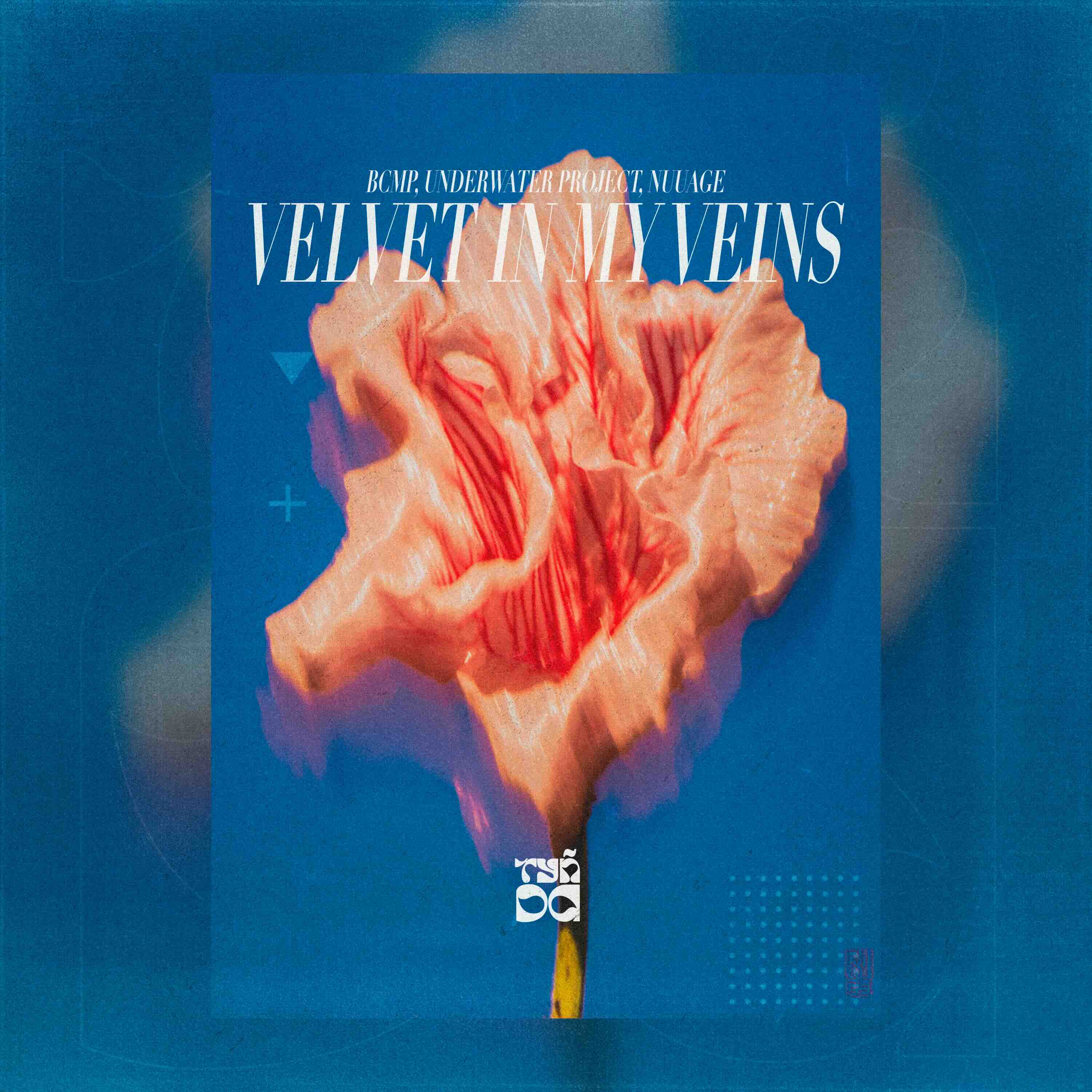 BCMP Velvet In My Veins